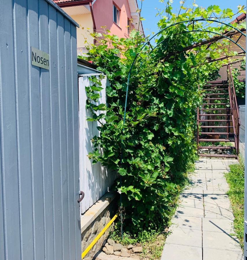 Nosen Apartment Bistriţa Exterior foto